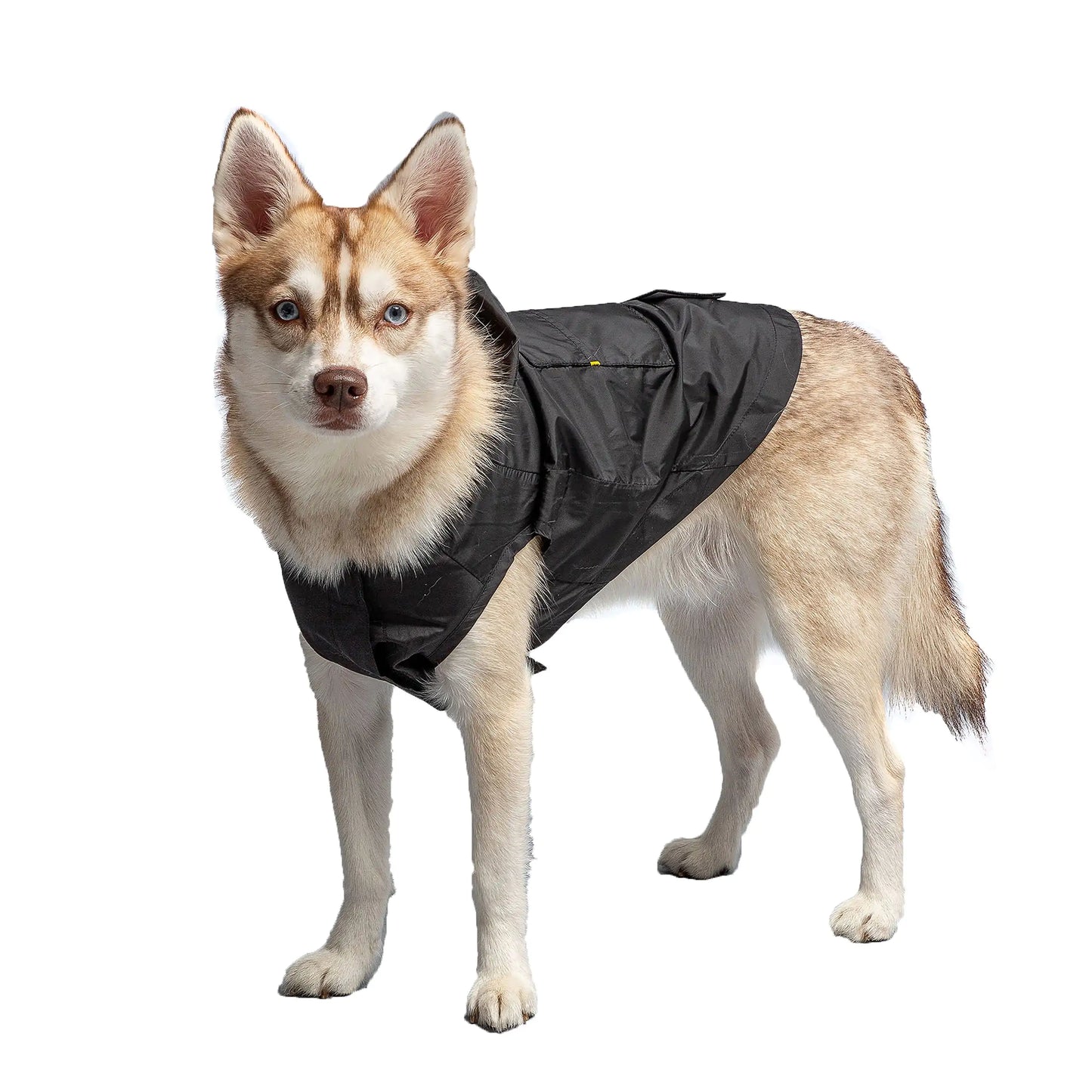 US Army® Packable Black Dog Raincoat