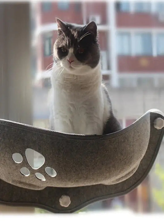 Cool Cat Window Perch